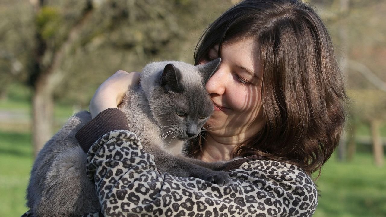 Cats Choose Their Humans Wisely: It's Not Just About Food