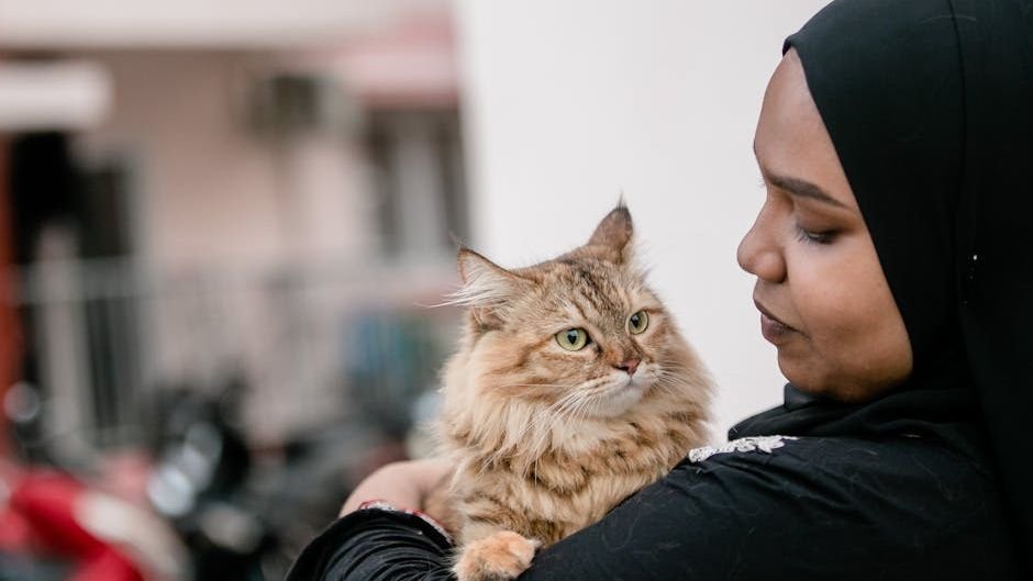 10 Heartwarming Ways Your Cat Brightens Your Day Without You Knowing