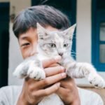 The Bond Between You and Your Cat Is Stronger Than Science Suggests