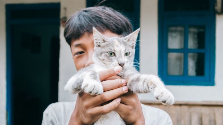 The Bond Between You and Your Cat Is Stronger Than Science Suggests