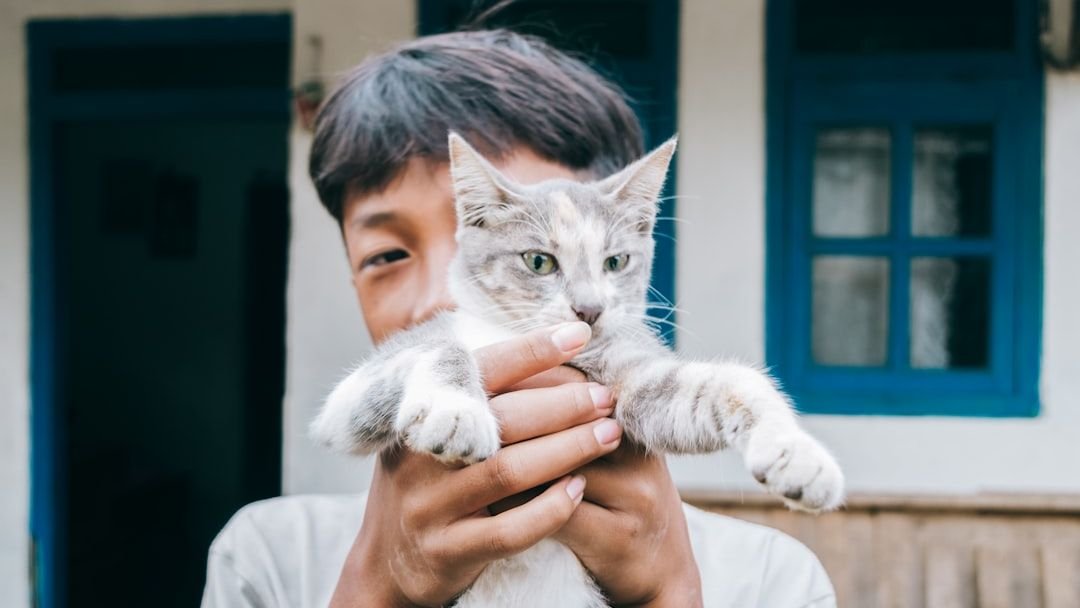 The Bond Between You and Your Cat Is Stronger Than Science Suggests