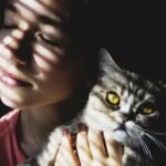 Cats Are More Attuned to Your Emotions Than You'd Believe