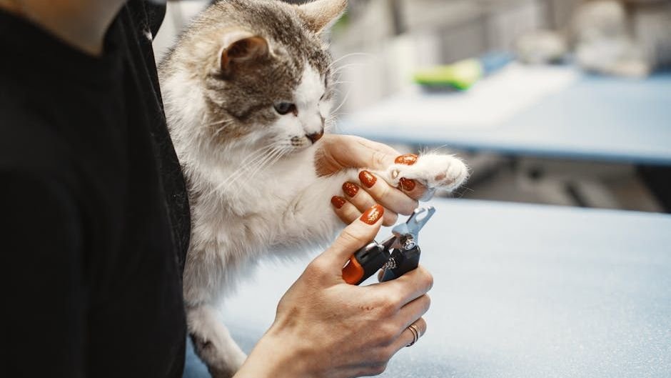 7 Common Cat Care Myths That Could Be Harming Your Feline Friend