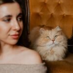 That 'Crazy Cat Lady' Stereotype? It's Actually a Badge of Honor