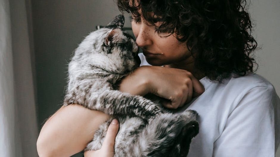 Your Cat Knows Your Secrets: They're Reading Your Moods, Even When You Can't