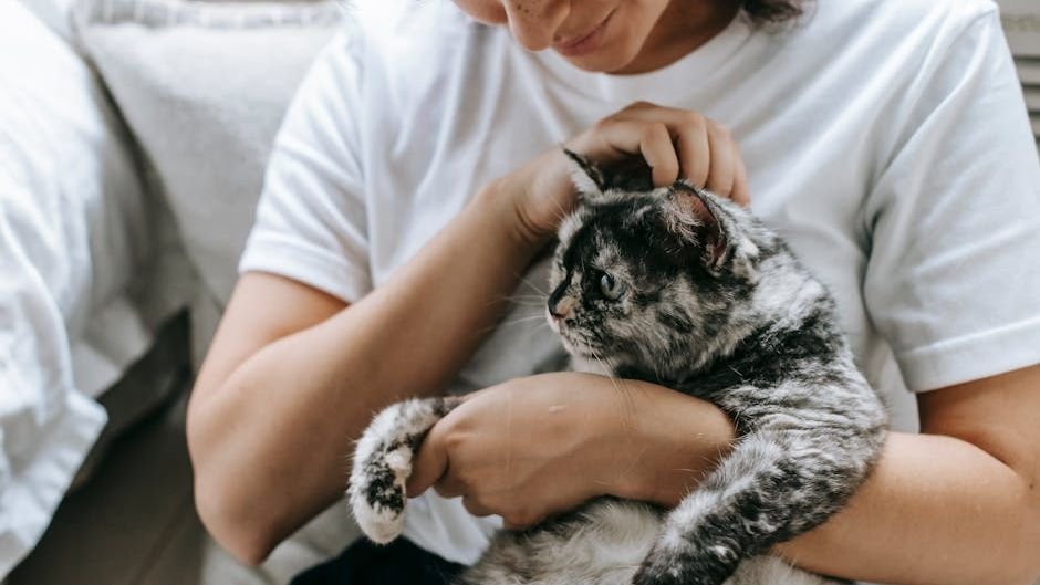How Can You Strengthen the Unique Bond You Share With Your Feline Friend?
