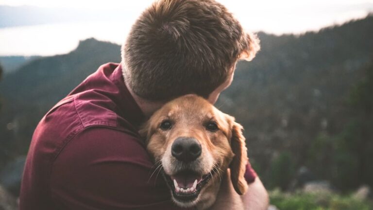 10 Things Dogs Wish We Understood About Them