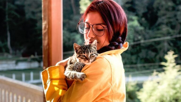 Your Cats Are Not Aloof: They're Just Experts at Expressing Love Differently