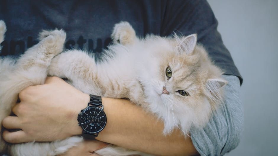 11 Things Your Cat Does When They Feel Utterly Safe and Loved