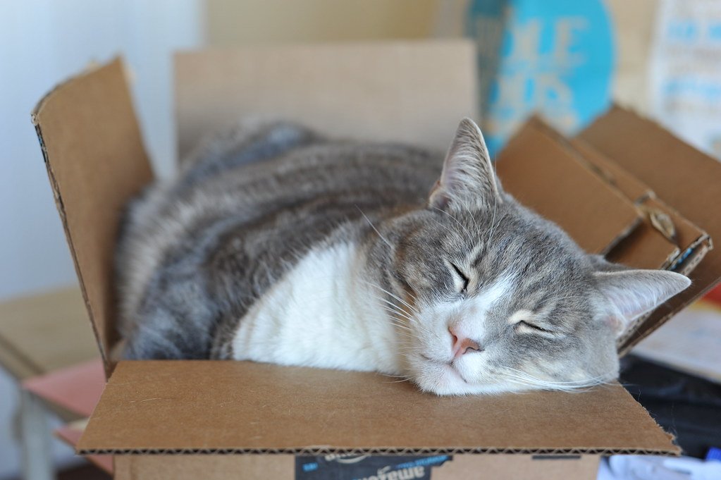 5. Inside Bags and Boxes