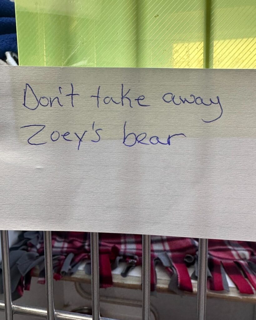 Heartbreak as Cat Arrives at Shelter Clutching Stuffed Bear and Note From Owner