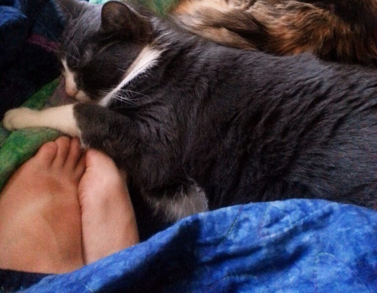 Sleeping at Your Feet: Independence with Affection