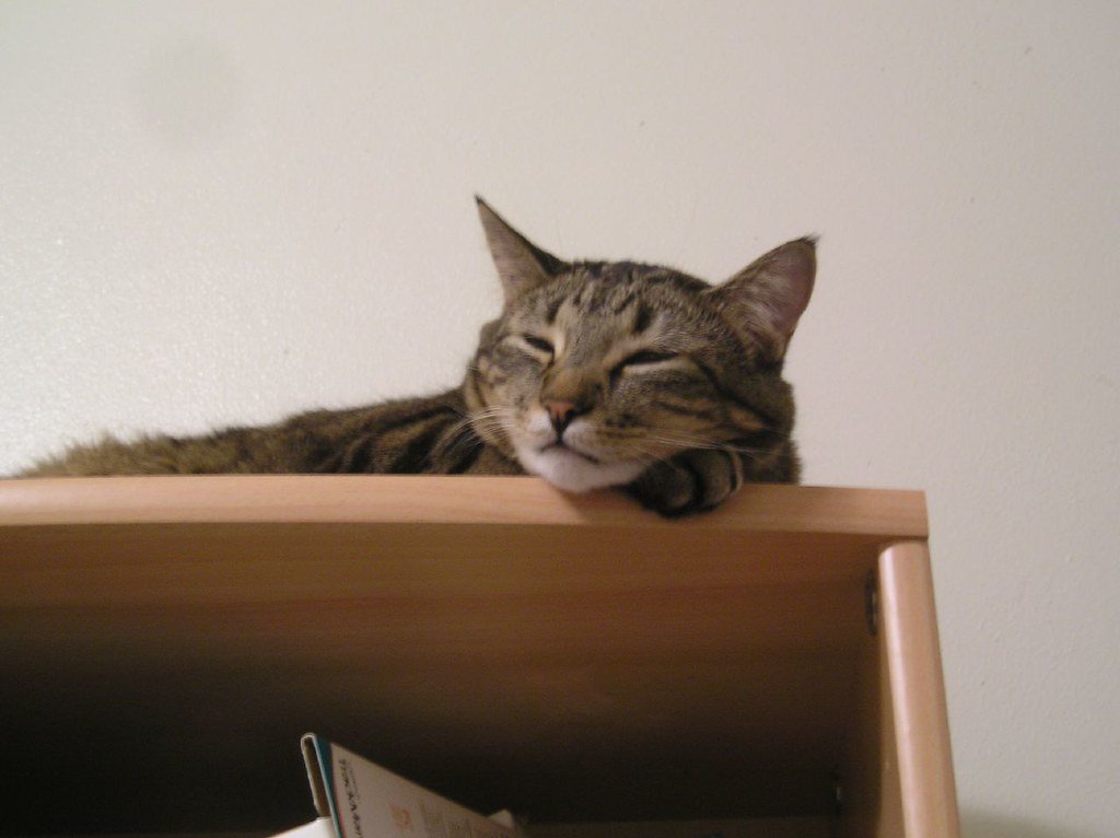 4. High Shelves and Bookshelves