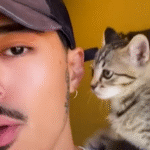 Streamer Tory Strauss Finds Feral Kitten Under His Car, Becomes Overnight Pet Dad