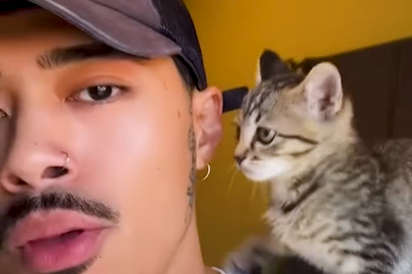 Streamer Tory Strauss Finds Feral Kitten Under His Car, Becomes Overnight Pet Dad