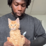 Starving Cat Emerges from Bushes, Turning 31-Year-Old Man's Commute into Lifelong Bond