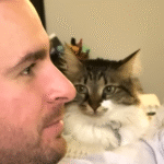 Cat's Frosty Reception for Mom's Boyfriend Evolves into Viral Cuddle Fest