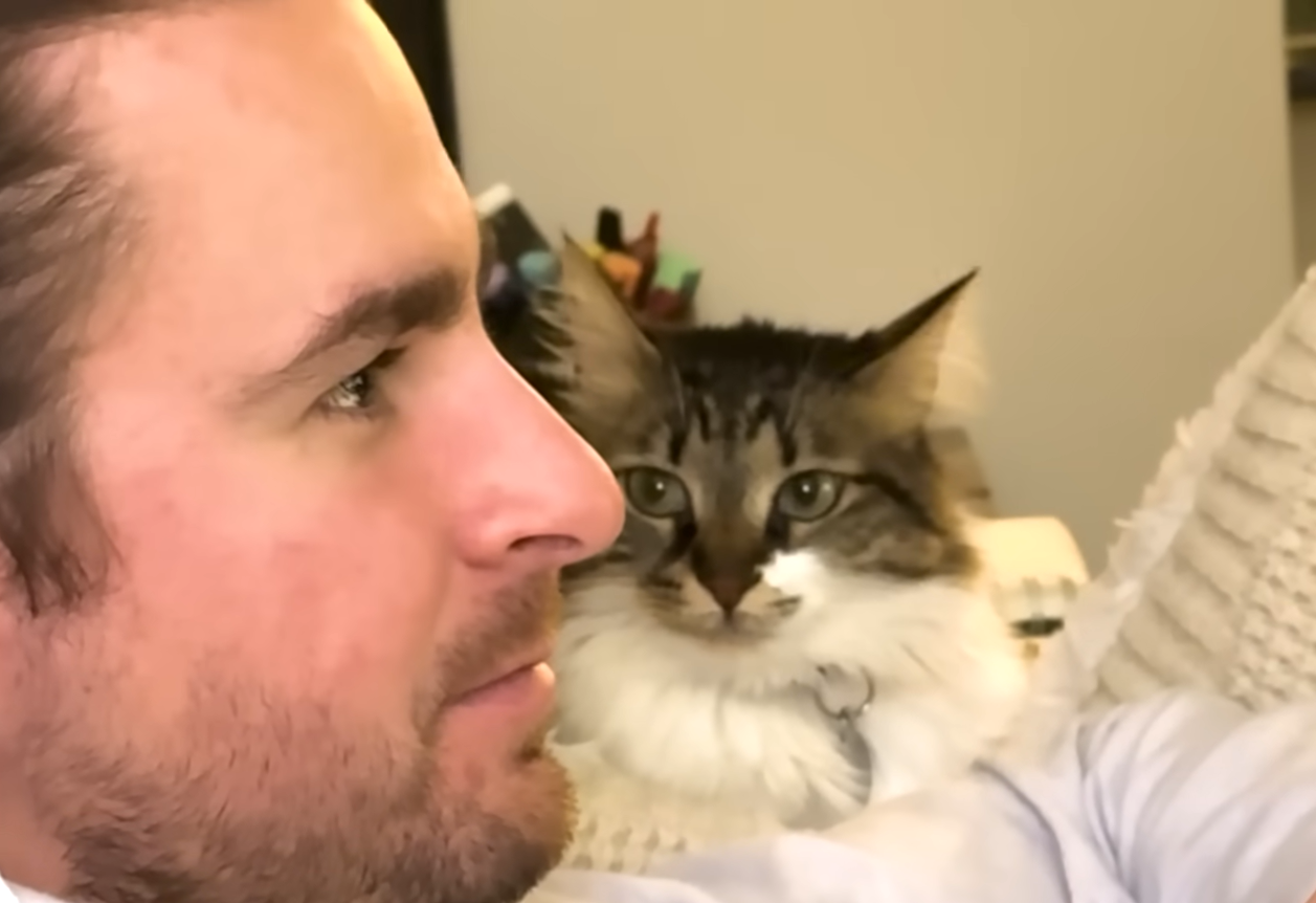 Cat's Frosty Reception for Mom's Boyfriend Evolves into Viral Cuddle Fest