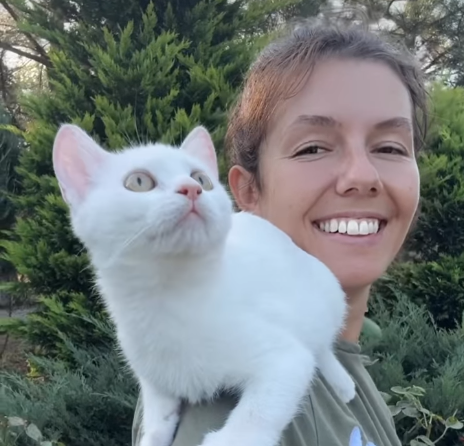 Roadside Rescue: Vets Pull Severely Hurt Kitten from Danger and Change Her Fate