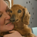 Dementia Dog's Heartwarming Recognition of Sole Human Companion Captivates Thousands