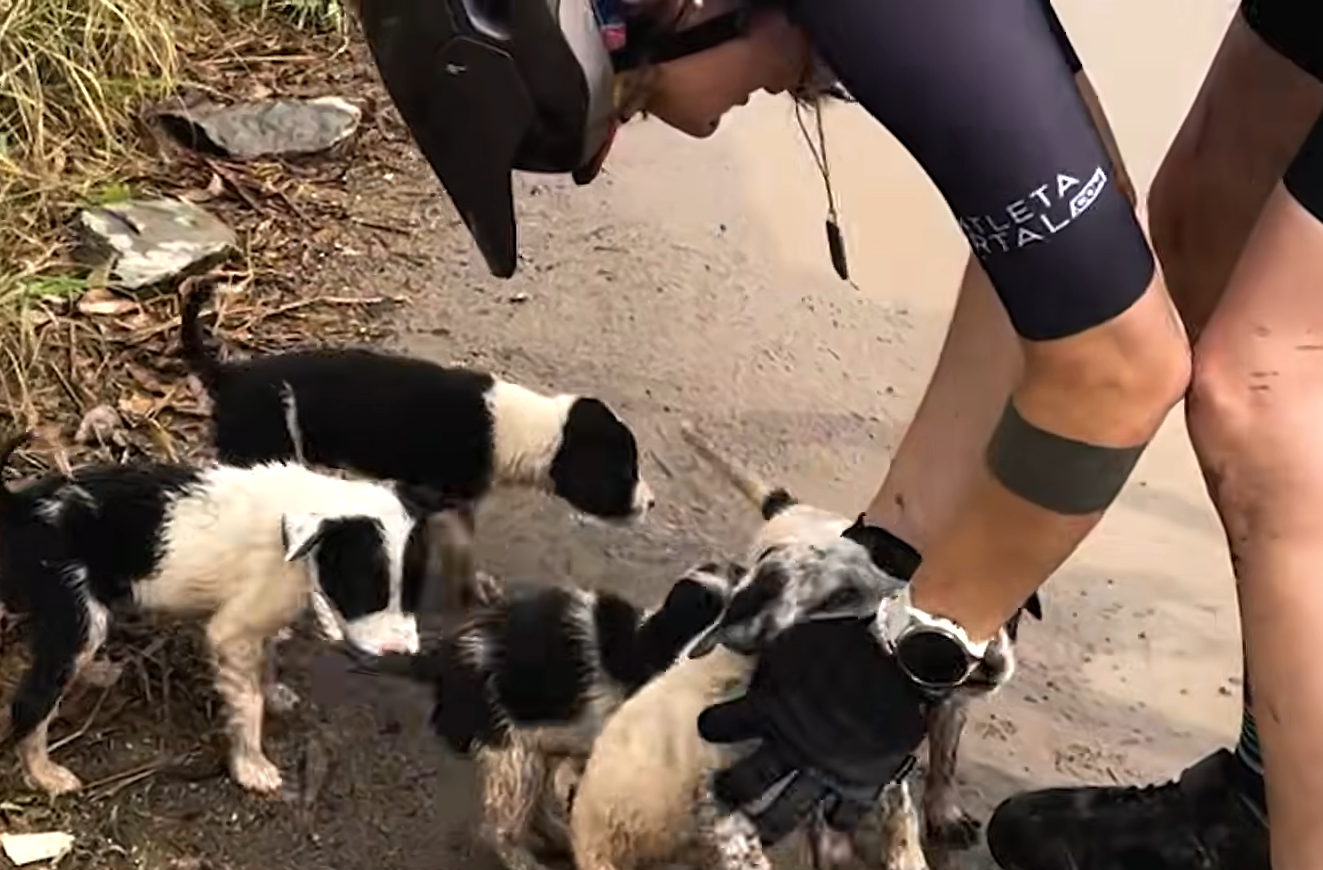 Bike Ride Turns into Fateful Rescue: Woman Saves Puppies and Honors Beloved Dog with Mountain Sanctuary
