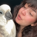 Sad Cockatoo Carmen Ignites Internet with Wild Adoption Joy