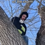 Cat Stuck 50ft Up a Tree as Storm Rages - Until a Kind Stranger Steps In to Help