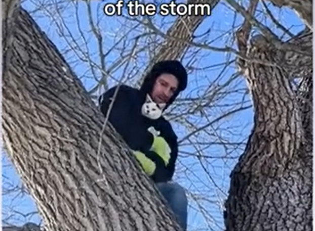Cat Stuck 50ft Up a Tree as Storm Rages - Until a Kind Stranger Steps In to Help