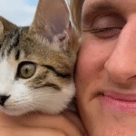 From Street Stray to Soulmate: Ricardo's Epic Transformation into Ultimate Cat Dad