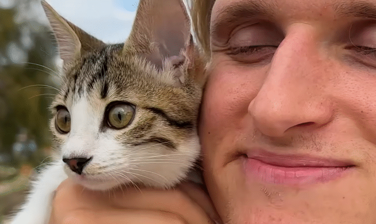 From Street Stray to Soulmate: Ricardo's Epic Transformation into Ultimate Cat Dad