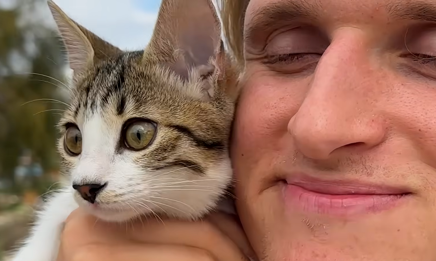 From Street Stray to Soulmate: Ricardo's Epic Transformation into Ultimate Cat Dad