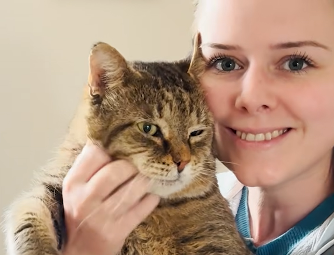 Stray Tomcat's Epic Year-Long Quest for Trust Culminates in Permanent Home