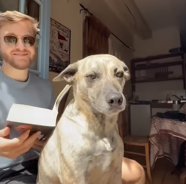 Rescue Dog Djuna Steals Woman's Boyfriend in Ultimate Third-Wheel Twist