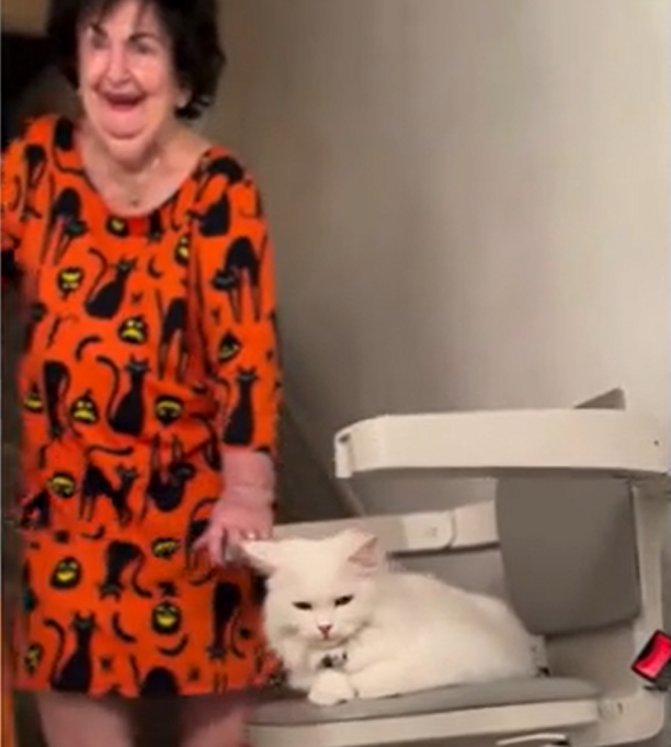 Deaf Cat's Secret Stairlift Adventures Delight Family with 95-Year-Old Matriarch