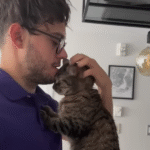 Rescue Cat’s Constant Hugs Linked to Troubling Past