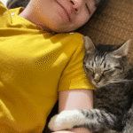 Stray Cat's Polite Pursuit Secures Forever Home and Viral Stardom