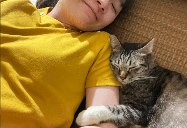 Stray Cat's Polite Pursuit Secures Forever Home and Viral Stardom