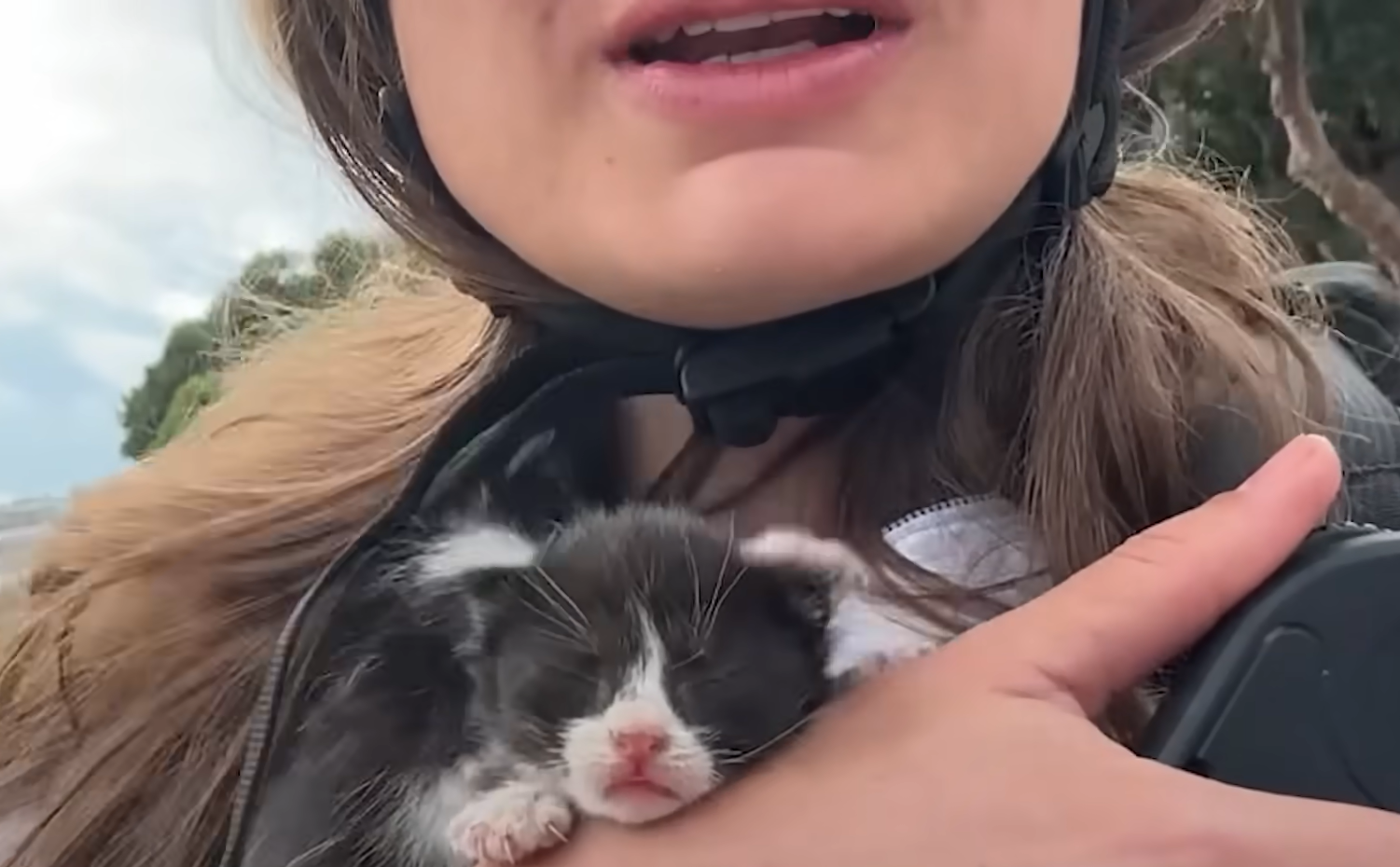 Skateboarder Evan Derails Cross-Country Quest to Save Trio of Roadside Kittens