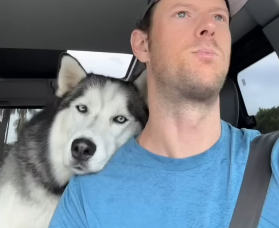 Husky's Unbreakable Bond with Owner Shattered Overnight by Adoring Newborn Daughter
