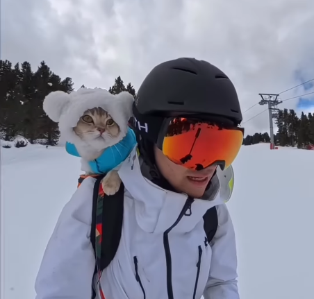 Skiers Stunned as Travel Influencer's Cats Tackle Austrian Alps in Backpack