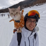 Skiers Stunned as Travel Influencer's Cats Tackle Austrian Alps in Backpack