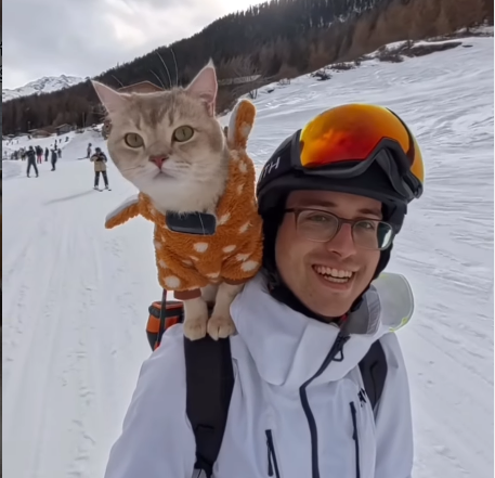 Skiers Stunned as Travel Influencer's Cats Tackle Austrian Alps in Backpack