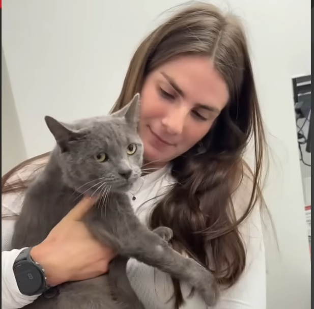 From Dog Obsession to Cat Devotion: One Woman's Rescue Upends Her Feline Prejudices