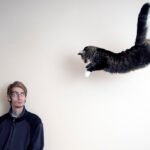 Scientists Decode the Long-Standing Mystery of Cats' Gravity-Defying Landings