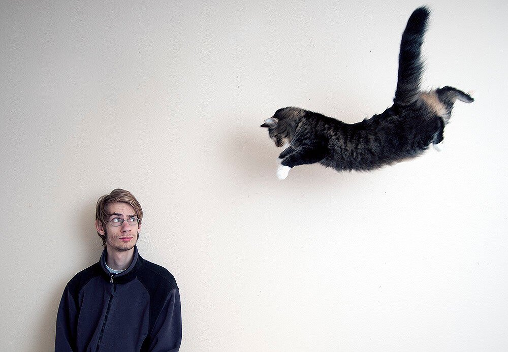 A Question That Has Baffled Science for More Than a Century