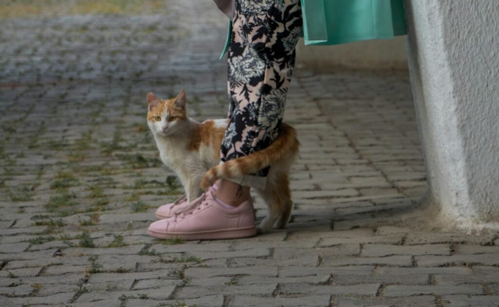 The Tail Wrap and the Leg Weave 