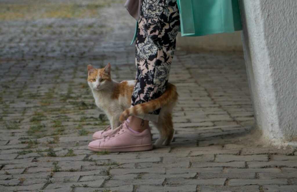 The Tail Wrap: Reserved for Those They Trust Most