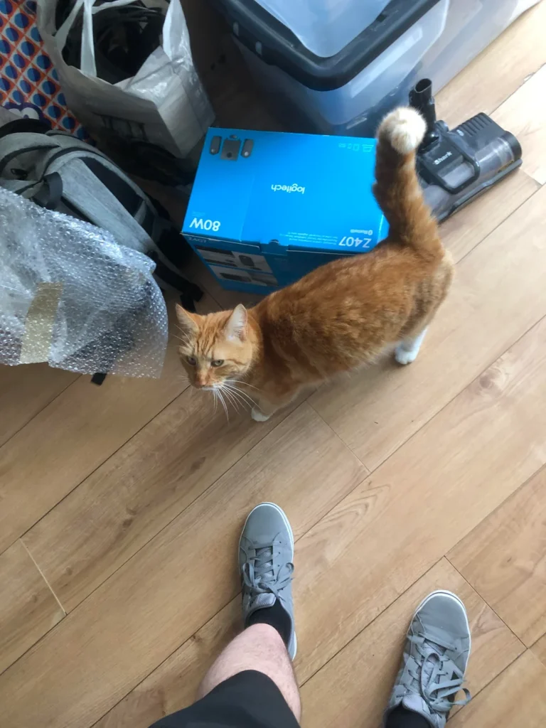 Just After Moving In, Homeowner Spots a Surprising Visitor at the Door