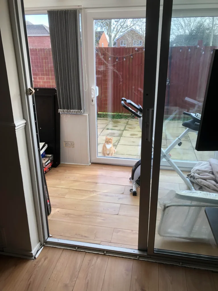 Just After Moving In, Homeowner Spots a Surprising Visitor at the Door