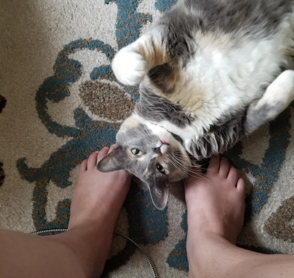 It's All About Territory: You Are Theirs